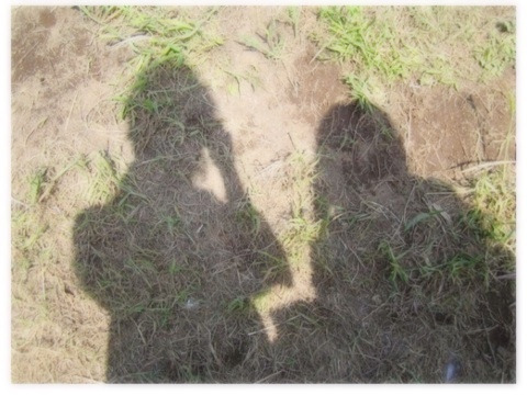 {19749A34-2CF8-4E1D-94DE-D64A35502353:01}